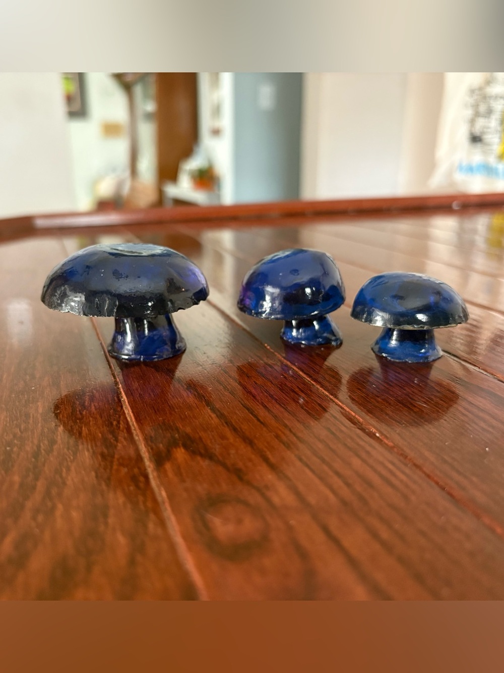 Vintage Acrylic Mushrooms